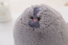 Load image into Gallery viewer, Ultra Soft Cute Fluffy Stuffed Persian Cat - allaboutkidsstuff.com